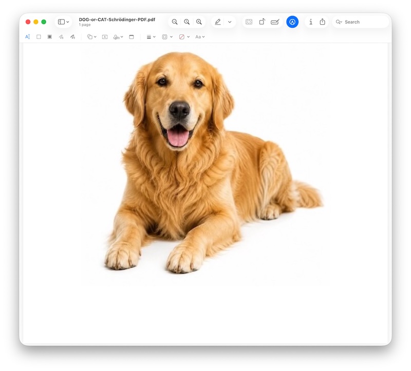 Il PDF di Schrödinger in Anteprima su macOS mostra il cane nella prova illustrata