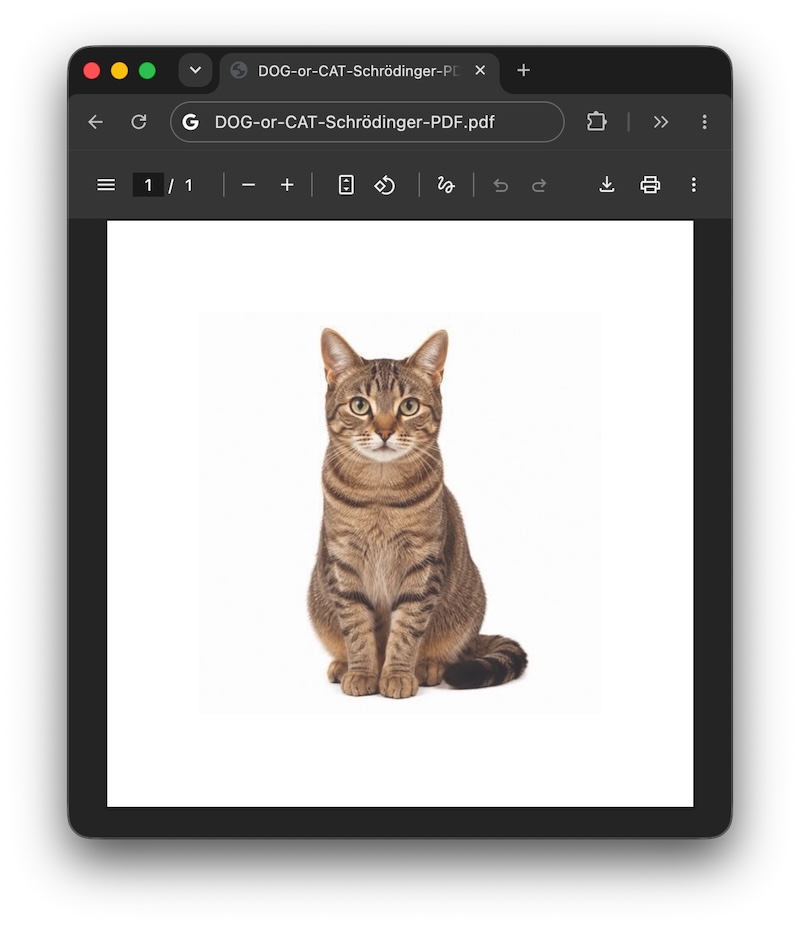 Il PDF di Schrödinger in Google Chrome mostra il gatto nella prova illustrata