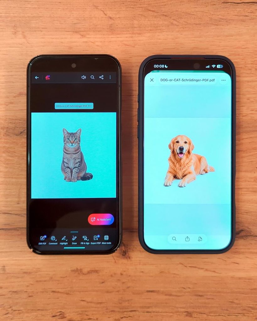 PDF di Schrödinger: gatto a sinistra su Android e cane a destra su iPhone, nelle applicazioni della prova